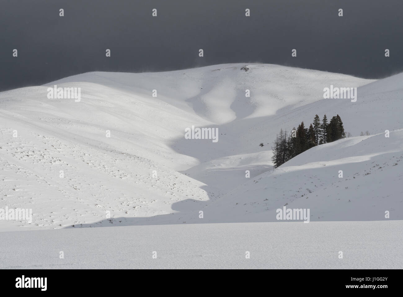 Lamar Valley, Yellowstone-Nationalpark, sanfte Hügel, durch eine Blizzard, Schneesturm, starkem Wind, Schnee über den Bergen, Wyoming, USA Strahlen getroffen. Stockfoto