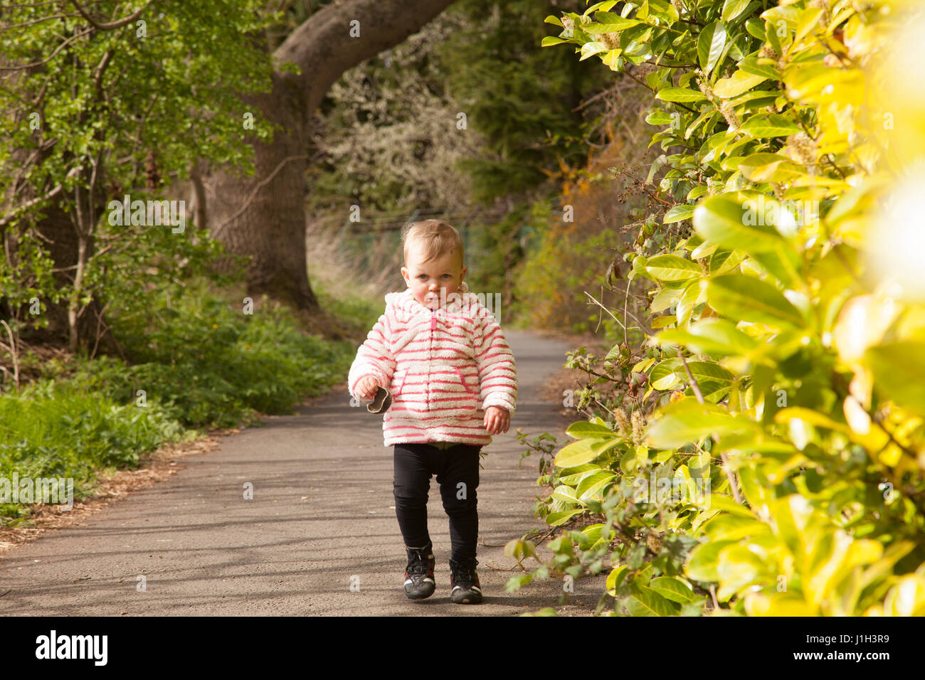 Kleinkind zu Fuß auf der Straße / Wanderweg namens John Muir Weg neben Brunstane brennen im Park an einem sonnigen Tag in Edinburgh, Scotland, UK Stockfoto