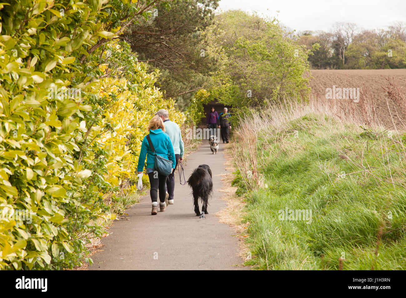 Leute mit Hunden sind Dogwalking unterwegs / Wanderweg namens John Muir Weg neben Brunstane brennen im Park an einem sonnigen Tag in Edinburgh, Scotland, UK Stockfoto