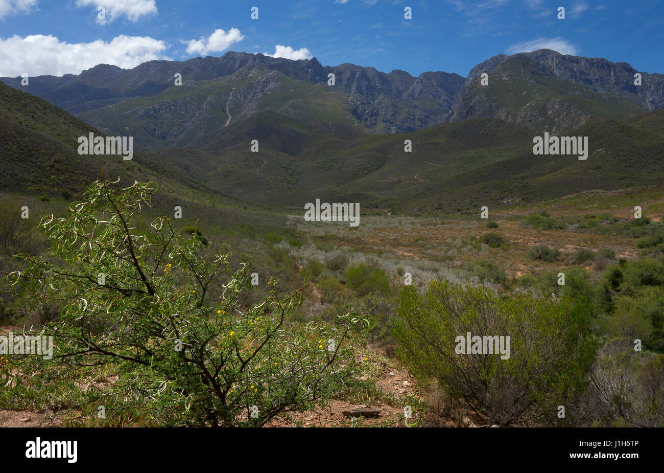 Berge und Landschaft um Robinson, Western Cape, Südafrika Stockfoto