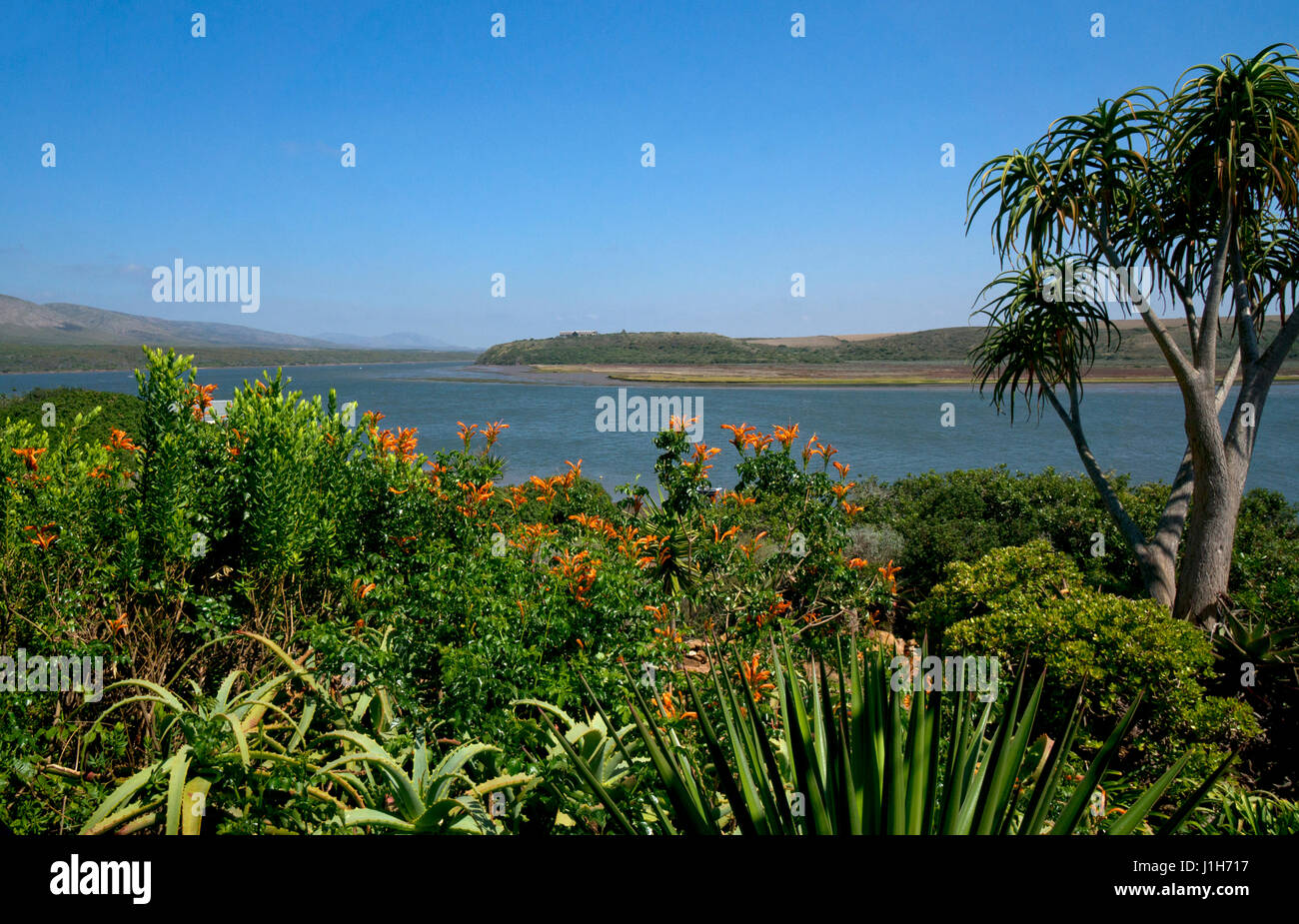 Blick über Gärten auf Breede River, mit Sand, western Cape, Südafrika Stockfoto