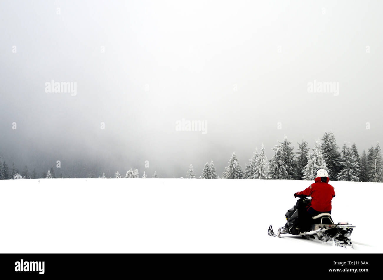Schneemobilfahrer in roten Jackentritten gehen hinunter in den nebeligen Wald. Winterlicher nebeliger Tag. Stockfoto