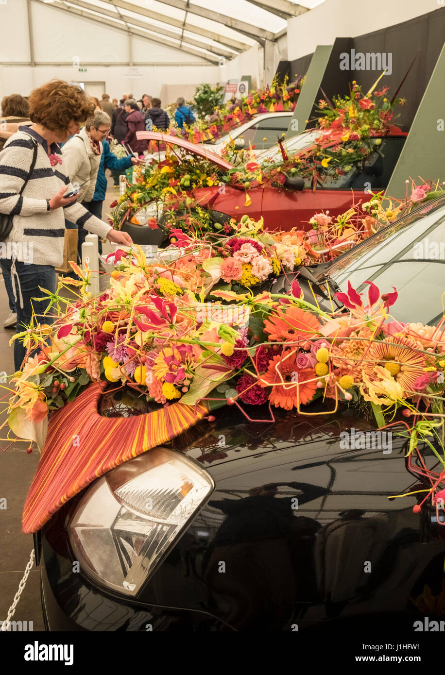 Blumenkunst Exponate auf Auto Motorhauben bei Harrogate Flower Show, UK Stockfoto