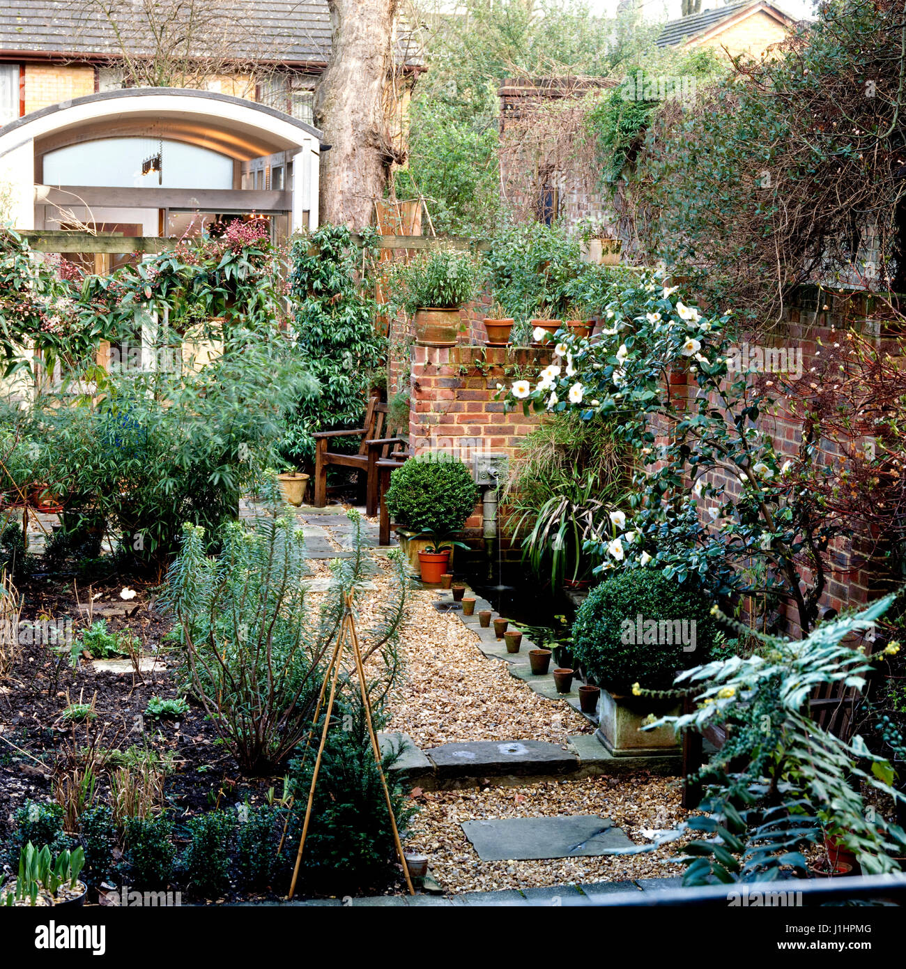 Garten im Innenhof. Stockfoto