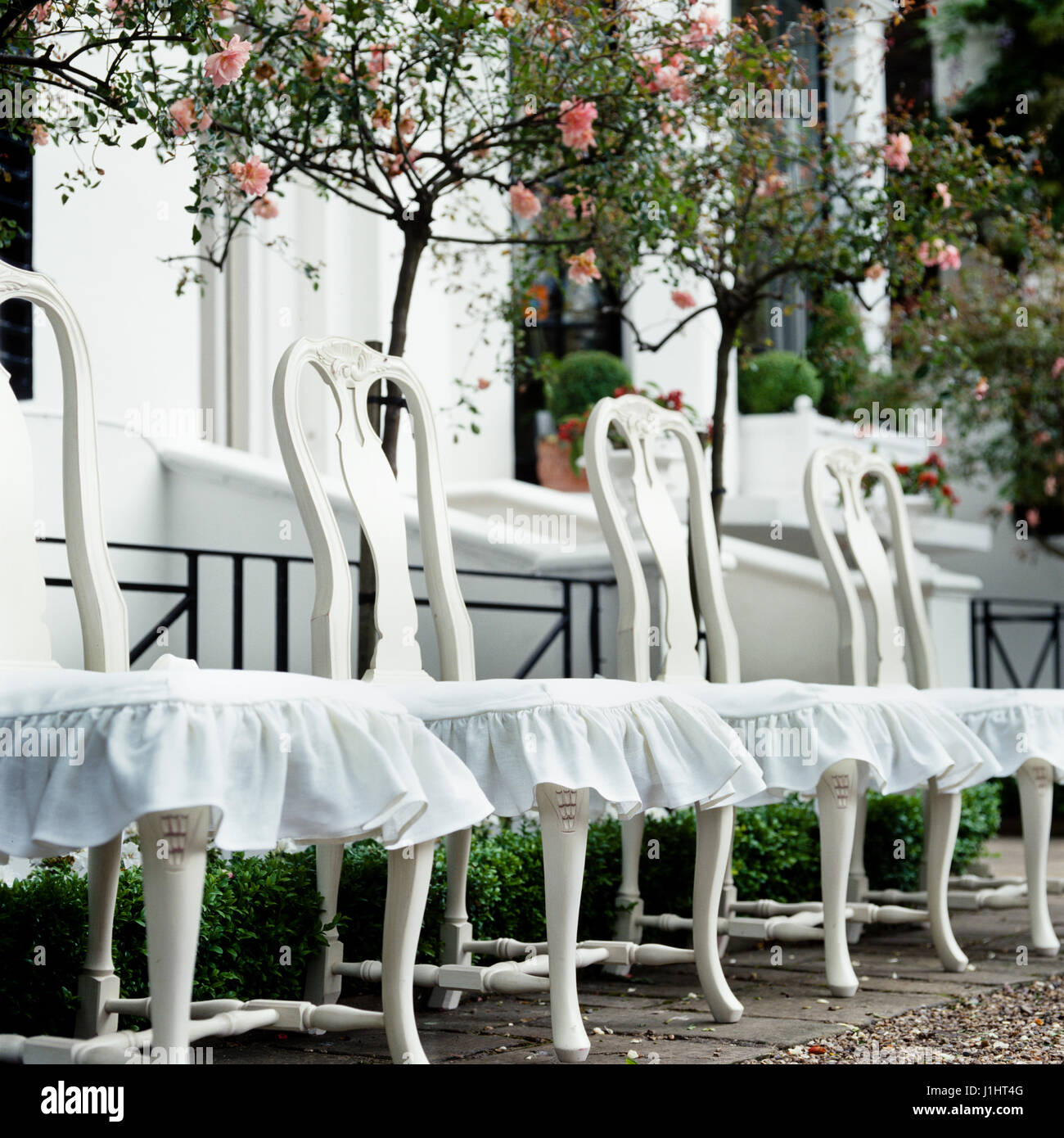 Weiße Stühle in einer Reihe. Stockfoto