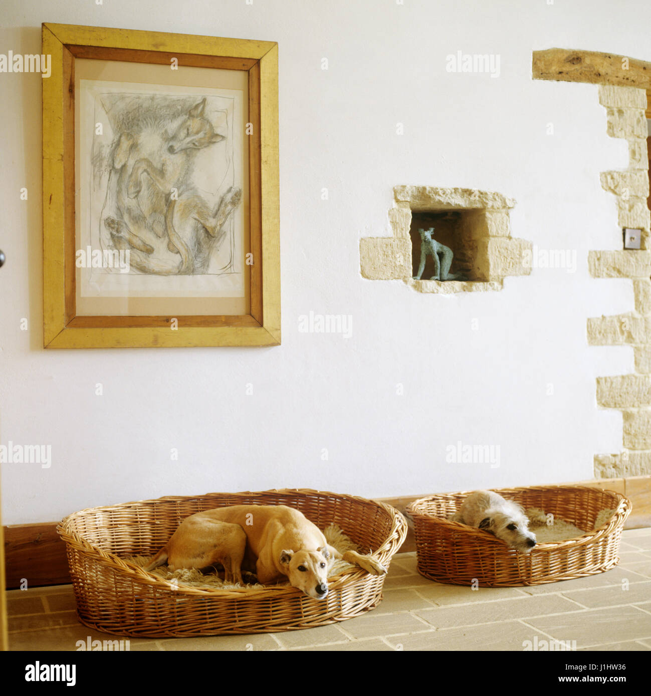 Zwei Hunde in Hundebetten liegen. Stockfoto
