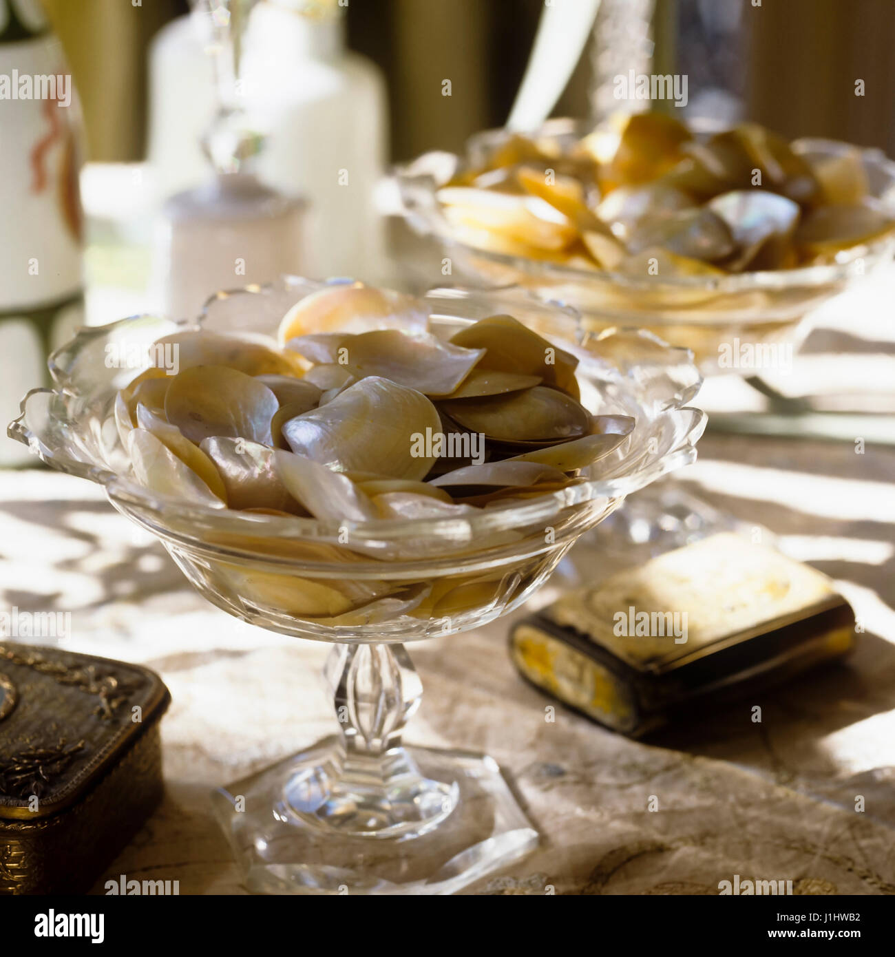 Schalen von Muscheln am Tisch. Stockfoto