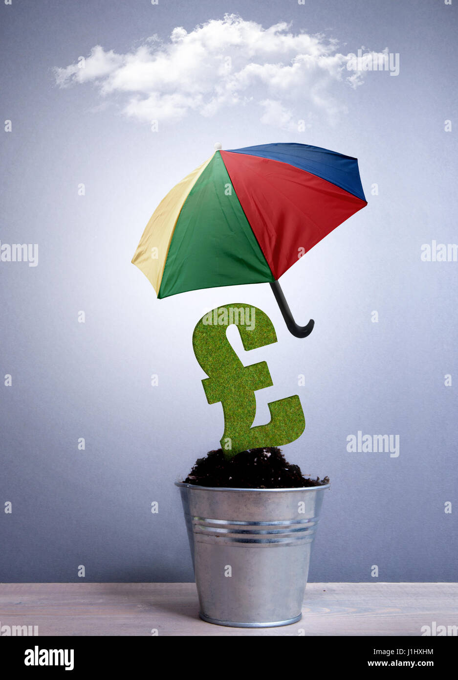 Pfund Sterling Zeichen Pflanze wächst in einem Topf mit einem Regenschirm geschützt Stockfoto