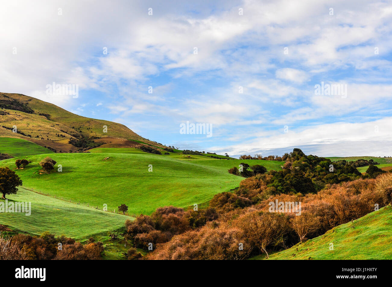 Grüne Landschaft in den Catlins auf der Südinsel von Neuseeland Stockfoto