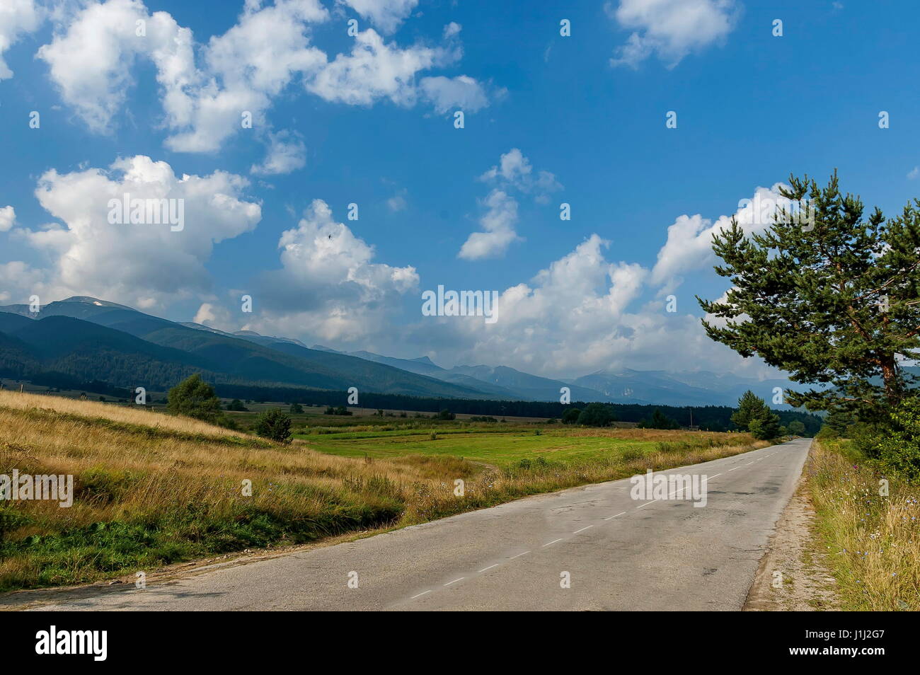 Majestätische Berggipfel, bewachsen mit Nadelwald, Tal, Lichtung und Straße, Rila-Gebirge, Bulgarien Stockfoto
