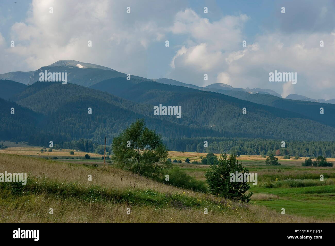 Majestätische Berggipfel, bewachsen mit Nadelwald, Tal, Lichtung und Straße, Rila-Gebirge, Bulgarien Stockfoto