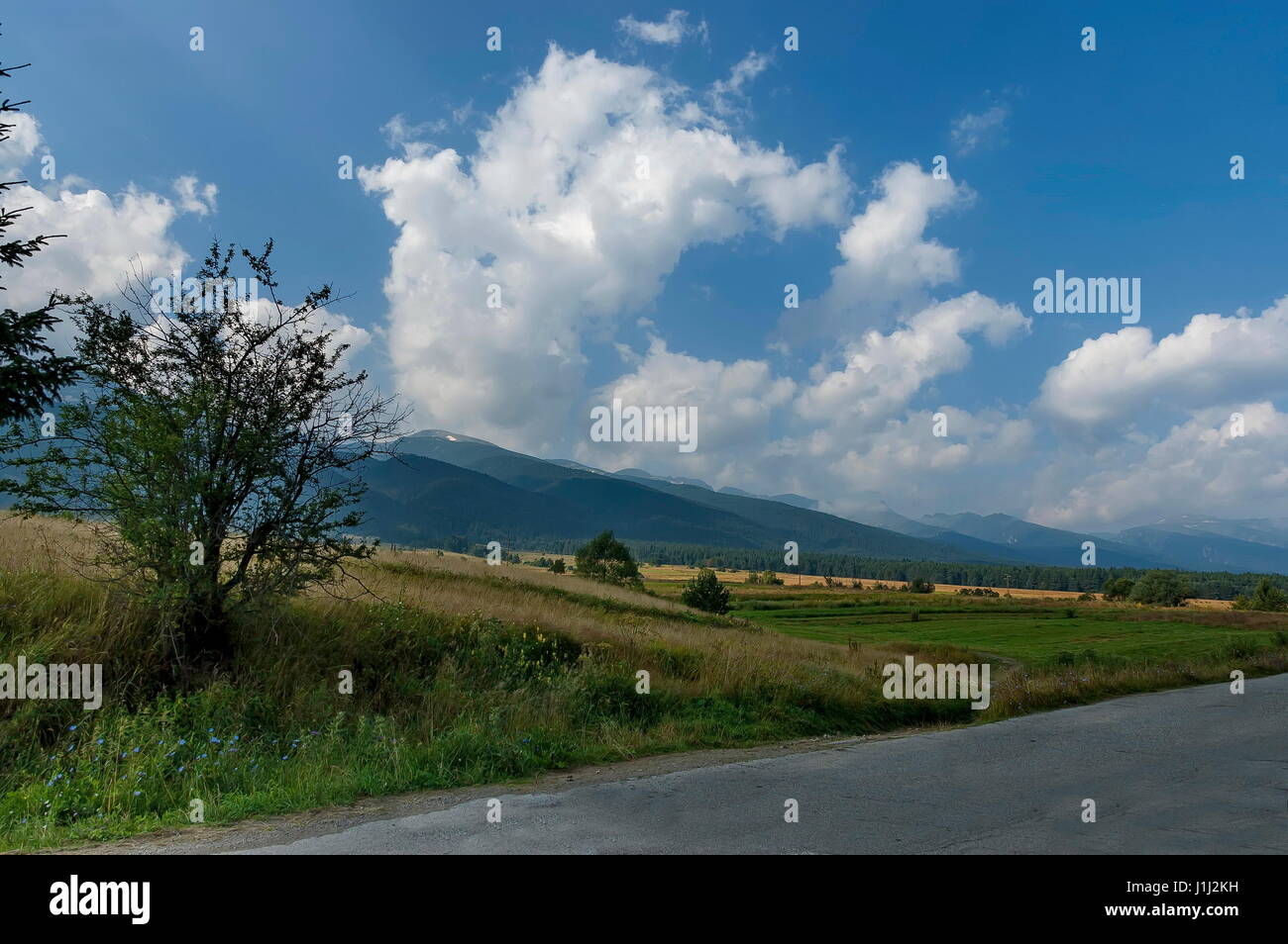 Majestätische Berggipfel, bewachsen mit Nadelwald, Tal, Lichtung und Straße, Rila-Gebirge, Bulgarien Stockfoto