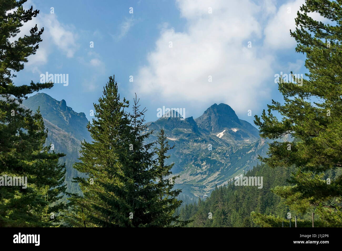 Majestätische Berggipfel, bewachsen mit Nadelwald, Tal und Waldwiese, Maliovitza, Rila-Gebirge, Bulgarien Stockfoto