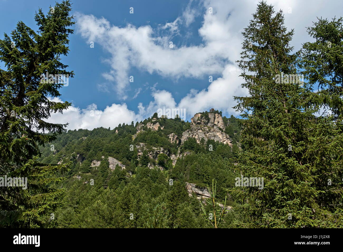 Majestätische Berggipfel, bewachsen mit Nadelwald, Tal und Waldwiese, Rila-Gebirge, Bulgarien Stockfoto