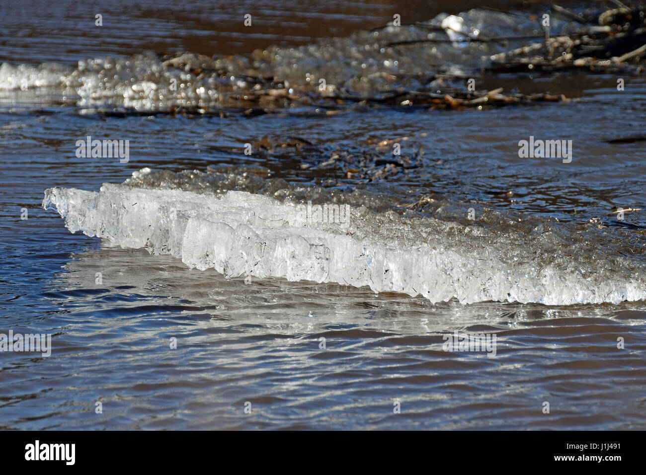 Eisscholle auf Frühling in fließenden Flüsschens. Stockfoto