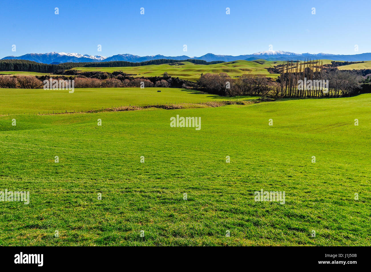 Typische grüne Kulturlandschaft in der Southern Scenic Route, Neuseeland Stockfoto