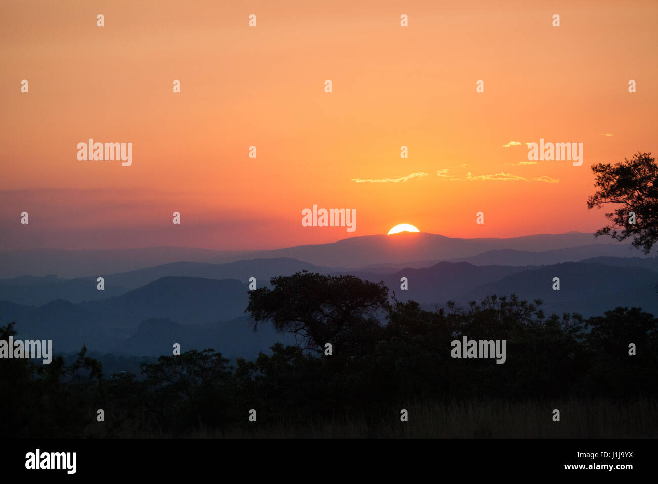 Sonnenuntergang über dem Kruger National Park Stockfoto