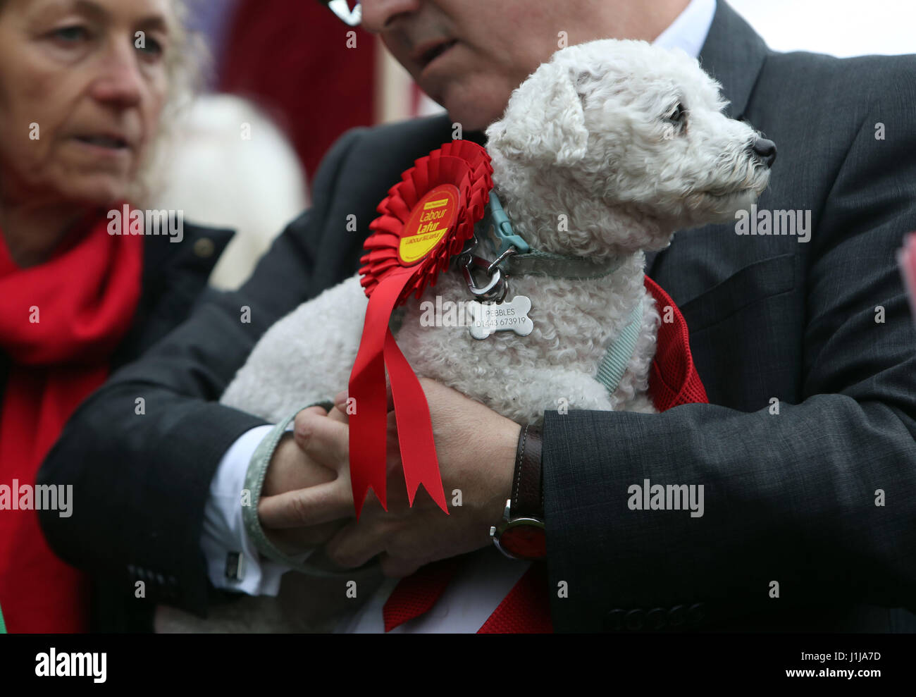 Ein Mann hält einen Hund behängt mit einer Arbeiterpartei Rosette als Labour-Chef Jeremy Corbyn eine Rede an Whitchurch High Street in Cardiff, während Labour Wahlkampf liefert. Stockfoto