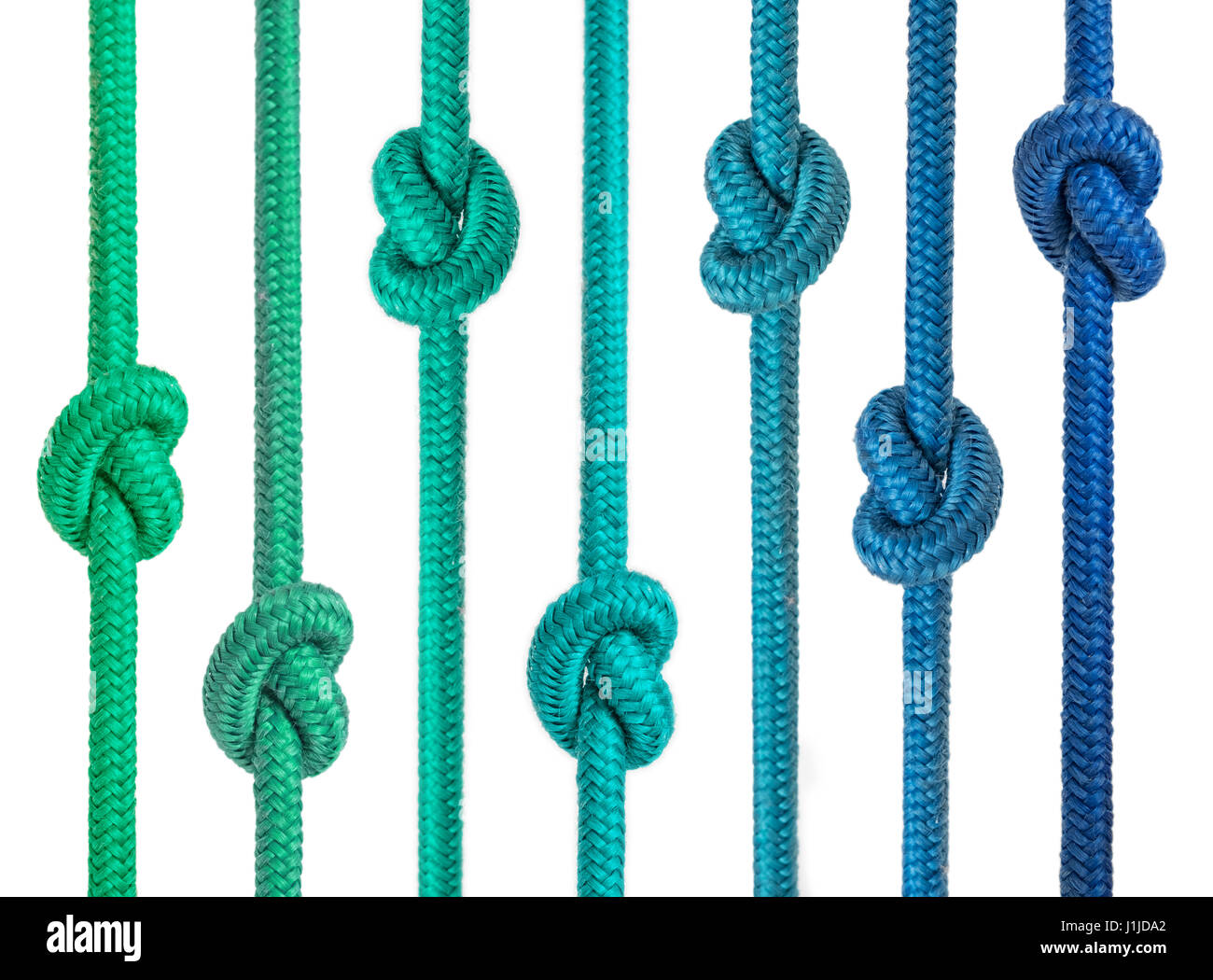 bunte Gruppe von Seile mit Knoten in einer Zeile Stockfoto