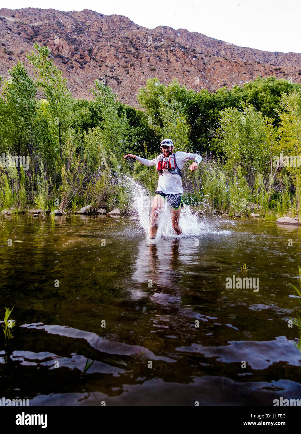 Ein Trail-running-im Fluss Sespe macht einen Sprung in der Sespe-Wüste in der Nähe von Ojai, Kalifornien. Stockfoto