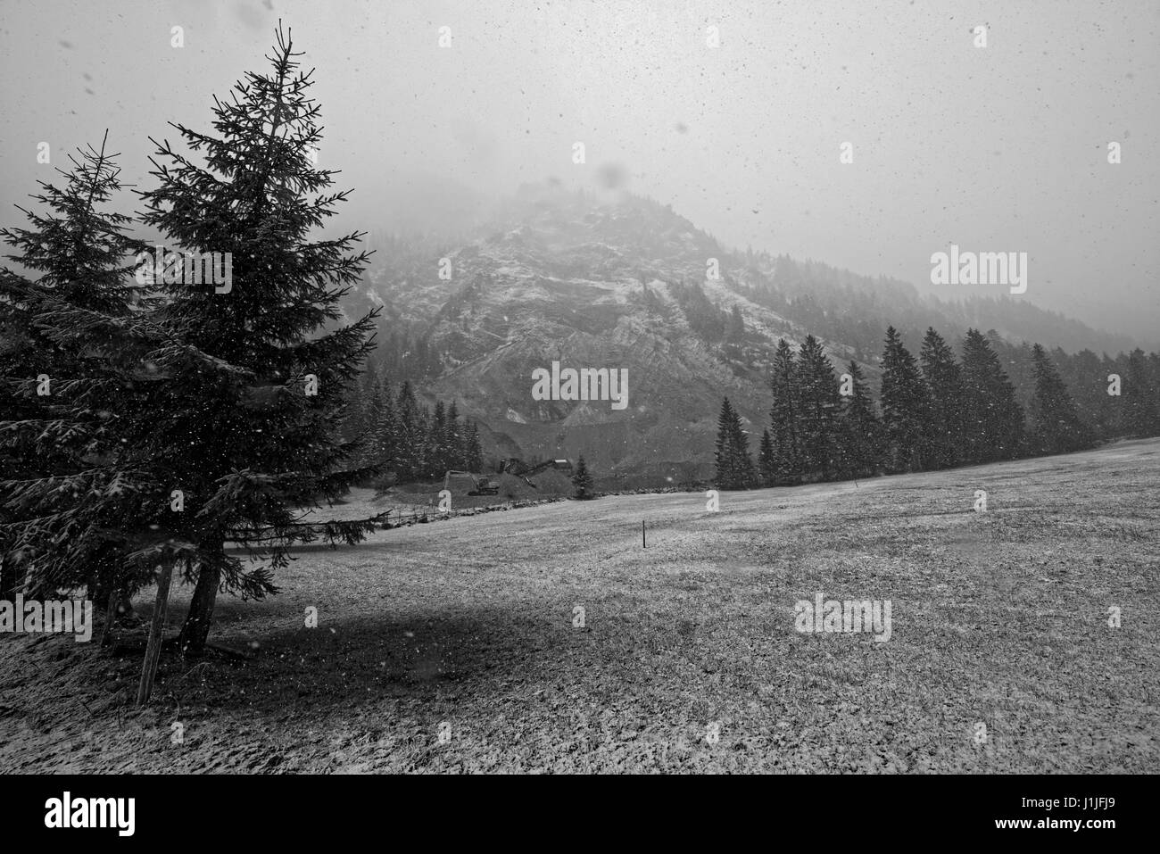 Tanheimer Tal,Österreich.Naturschutzgebiet Vilsalpsee in Den Österreichischen Alpen.Bundesland Tirol, Bezirk Reutte Stockfoto