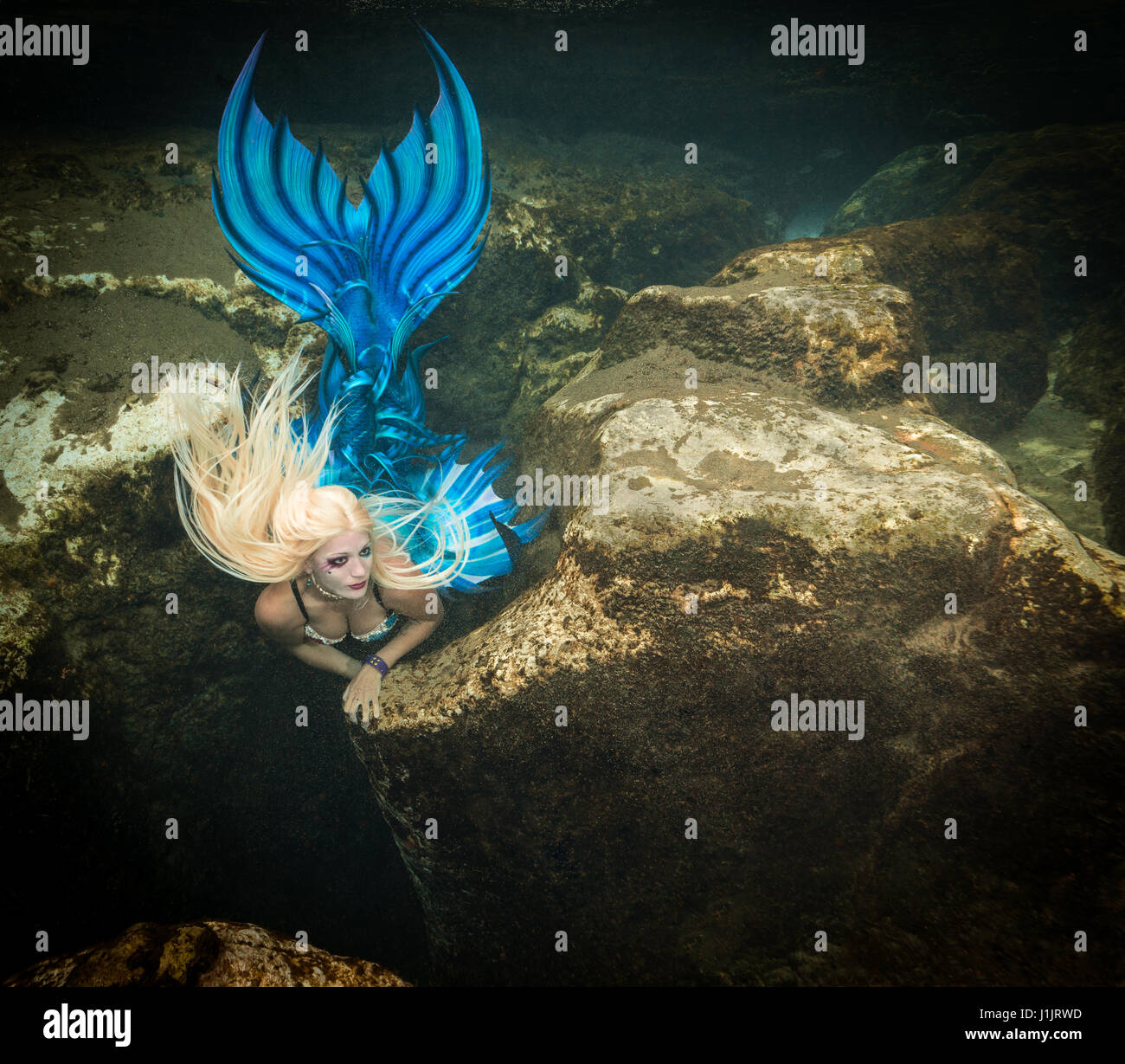 Meerjungfrau in der Salt Springs in Florida, USA Stockfoto