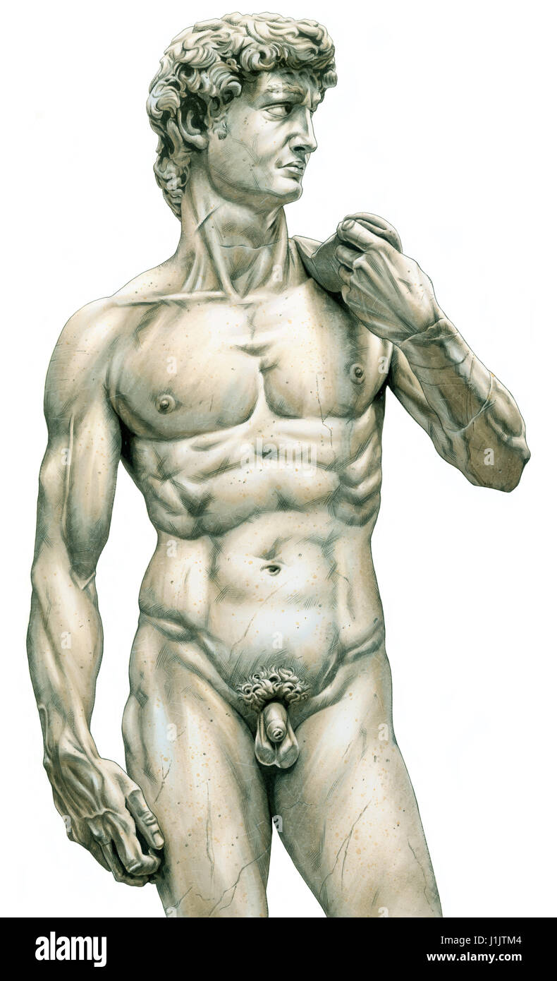 Michelangelos David vor weißem Hintergrund Stockfoto