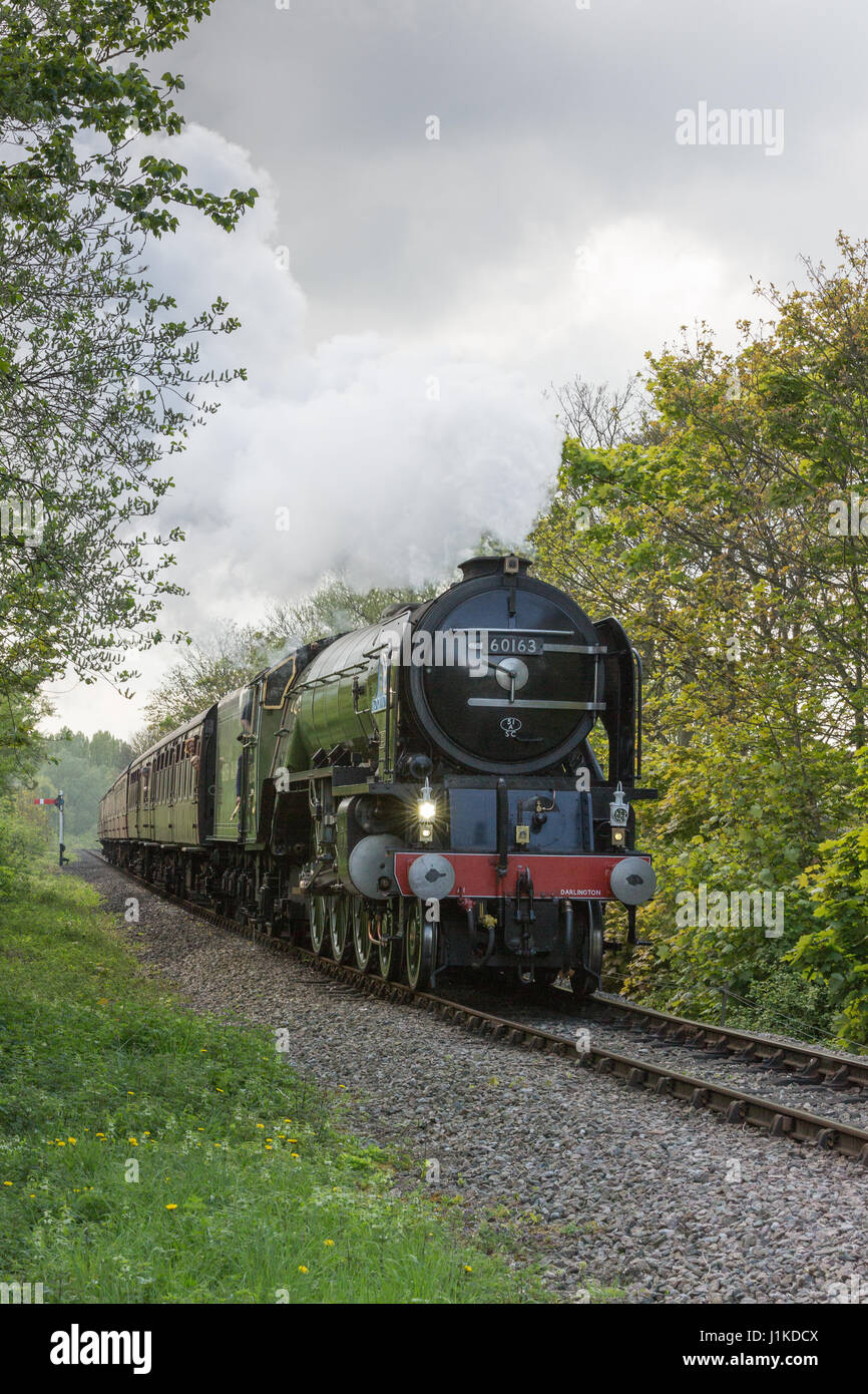 Peterborough, Cambridgeshire, Großbritannien. 22. April 2017. Nur stattet Tage nach immer die erste Dampflokomotive, 100 km/h in 50 Jahren erreichen Klasse A1 Peppercorn "Tornado" einen Besuch Nene Valley Railway. Bildnachweis: Andrew Plummer/Alamy Live-Nachrichten Stockfoto