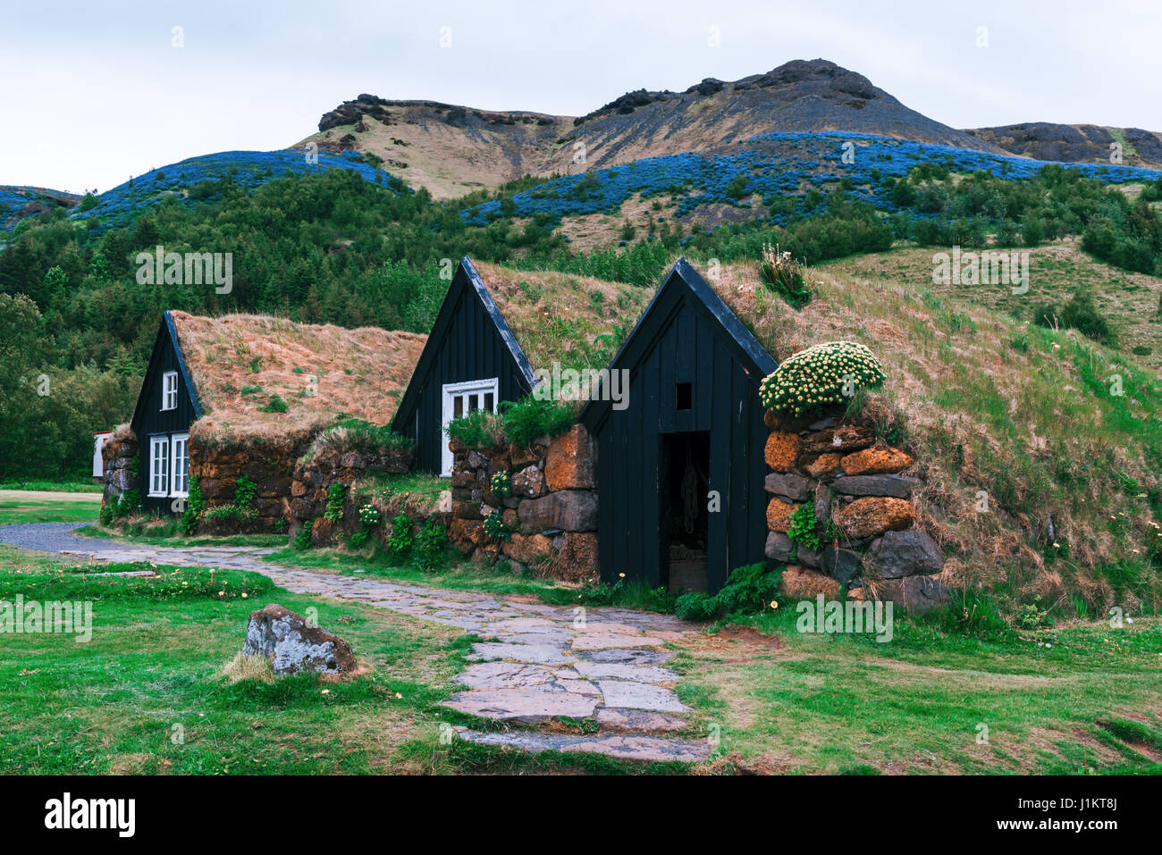 Traditionelle Häuser mit Rasen auf Dach in Island Stockfoto