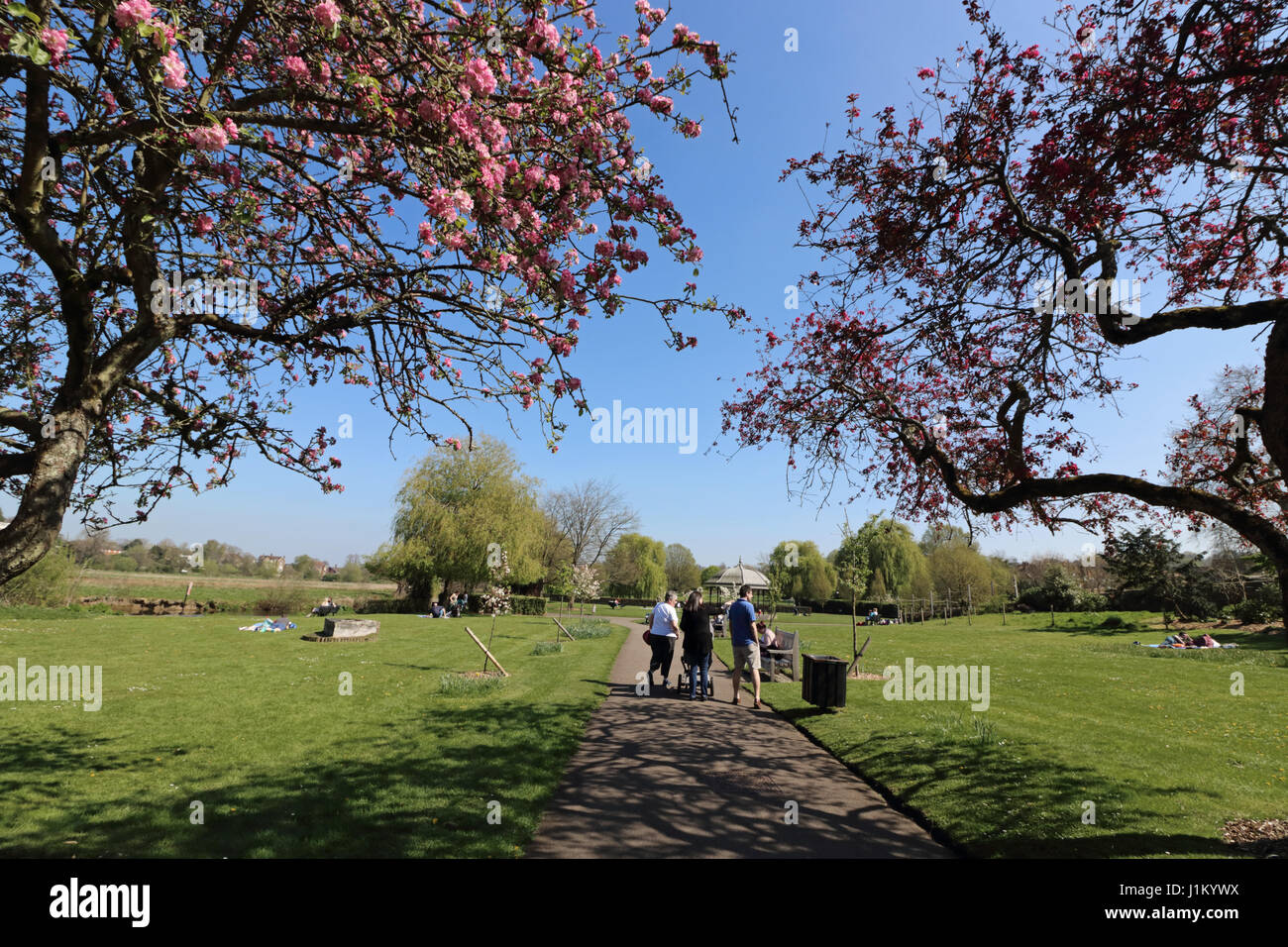 Phillips Memorial Park Godalming Surrey England Stockfoto