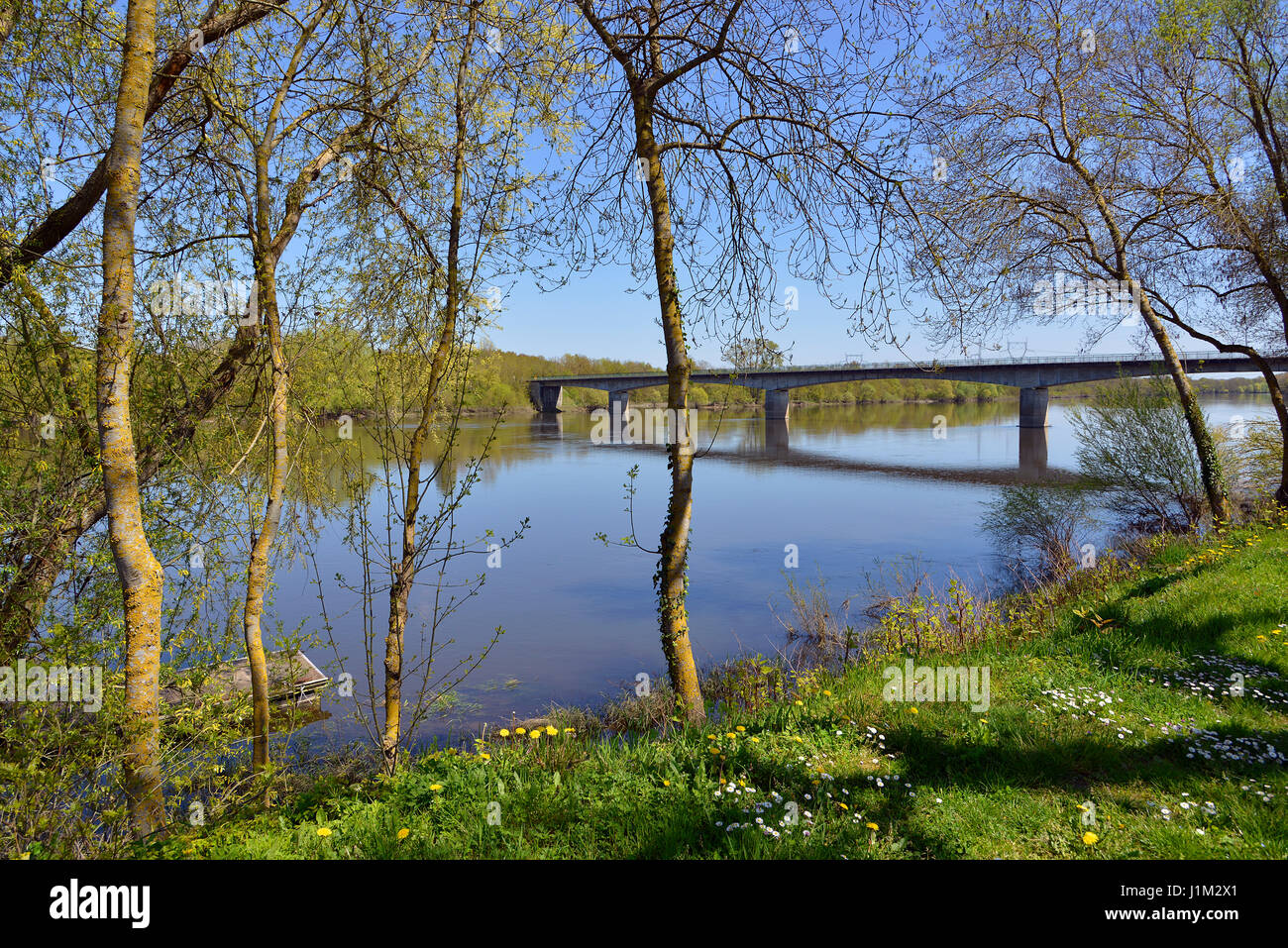 Die Ufer des Flusses Vienne in Candes-Saint-Martin mit Bäumen, Gemeinde im Département Indre-et-Loire, Region Centre in Frankreich. Stockfoto