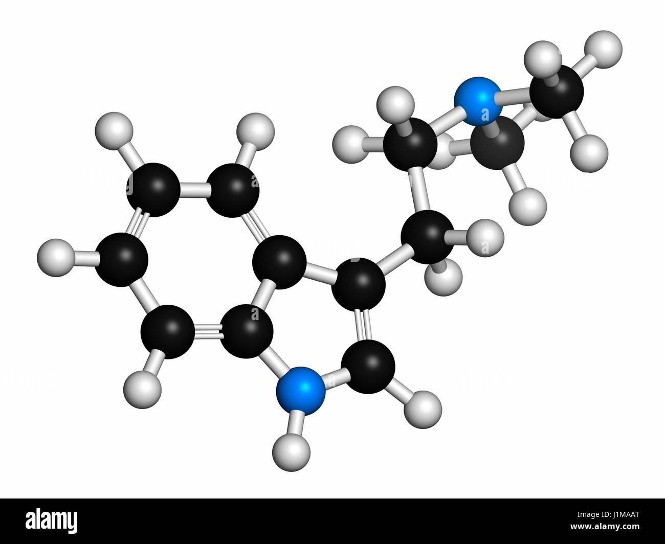 Dimethyltryptamin (DMT) psychedelische Droge Molekül. Das Getränk Ayahuasca zu präsentieren. Atome werden als Kugeln mit konventionellen Farbkodierung dargestellt: Wasserstoff (weiß), Kohlenstoff (grau), Stickstoff (blau). Stockfoto