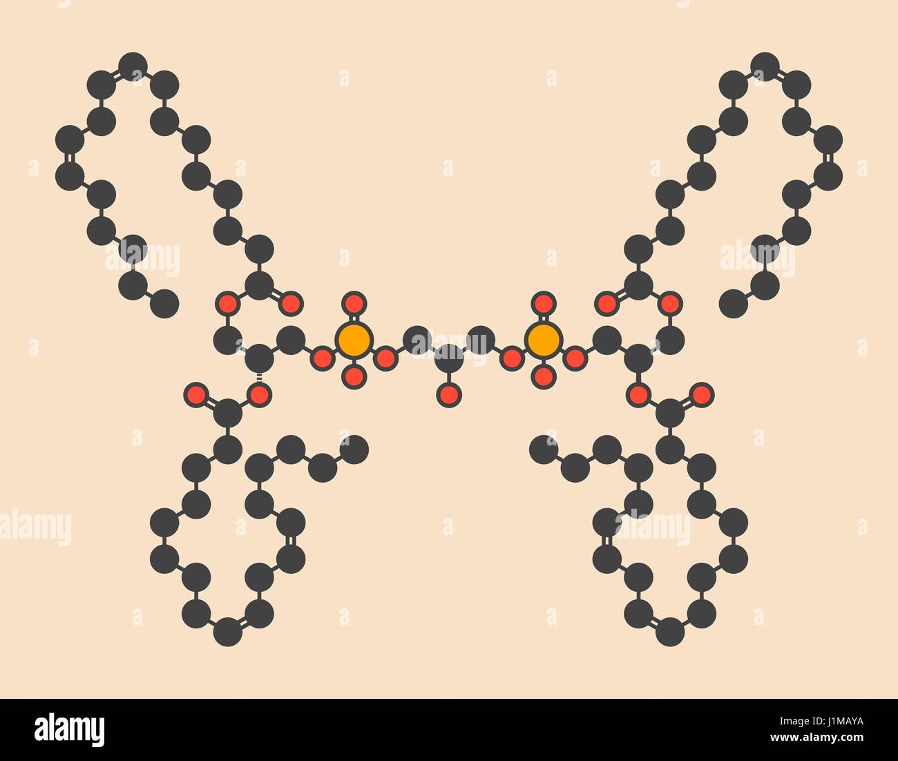 Cardiolipin (Tetralinoleoyl Cardiolipin) Molekül. Wichtiger Bestandteil der inneren Membran der Mitochondrien. Stilisierte Skelettformel (chemische Struktur): Atome werden als farbcodierte Kreise angezeigt: Wasserstoff (versteckt), Kohlenstoff (grau), Sauerstoff (rot), Phosphoru Stockfoto