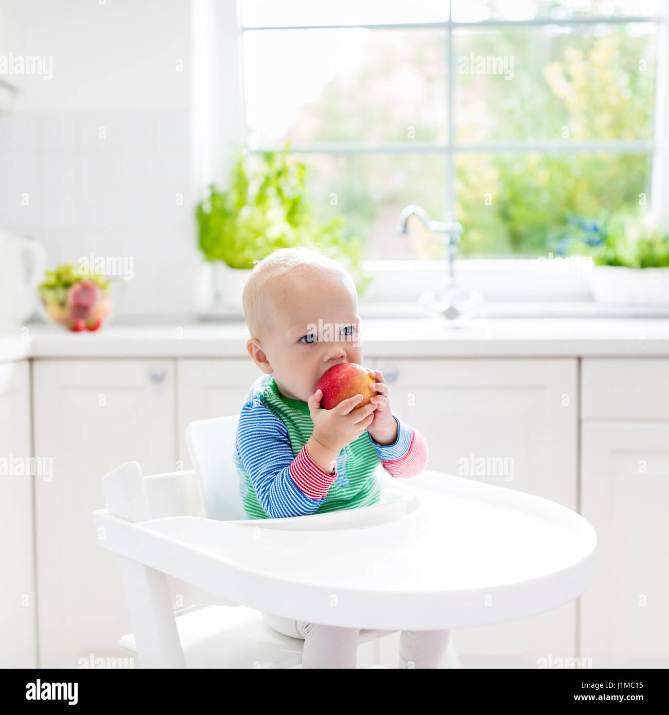 Baby Essen Obst. Kleiner Junge beißen Apfel sitzen in weißen Hochstuhl in sonnige Küche mit Fenster und Waschbecken. Gesunde Ernährung für Kinder. Feste Nahrung f Stockfoto