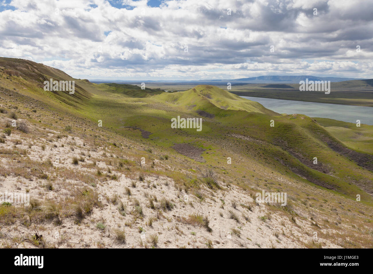 Franklin County, Washington: Die weißen Klippen entlang des Columbia River in Hanford Reach National Monument. Über den Fluss ist der Hanford Site, die m Stockfoto