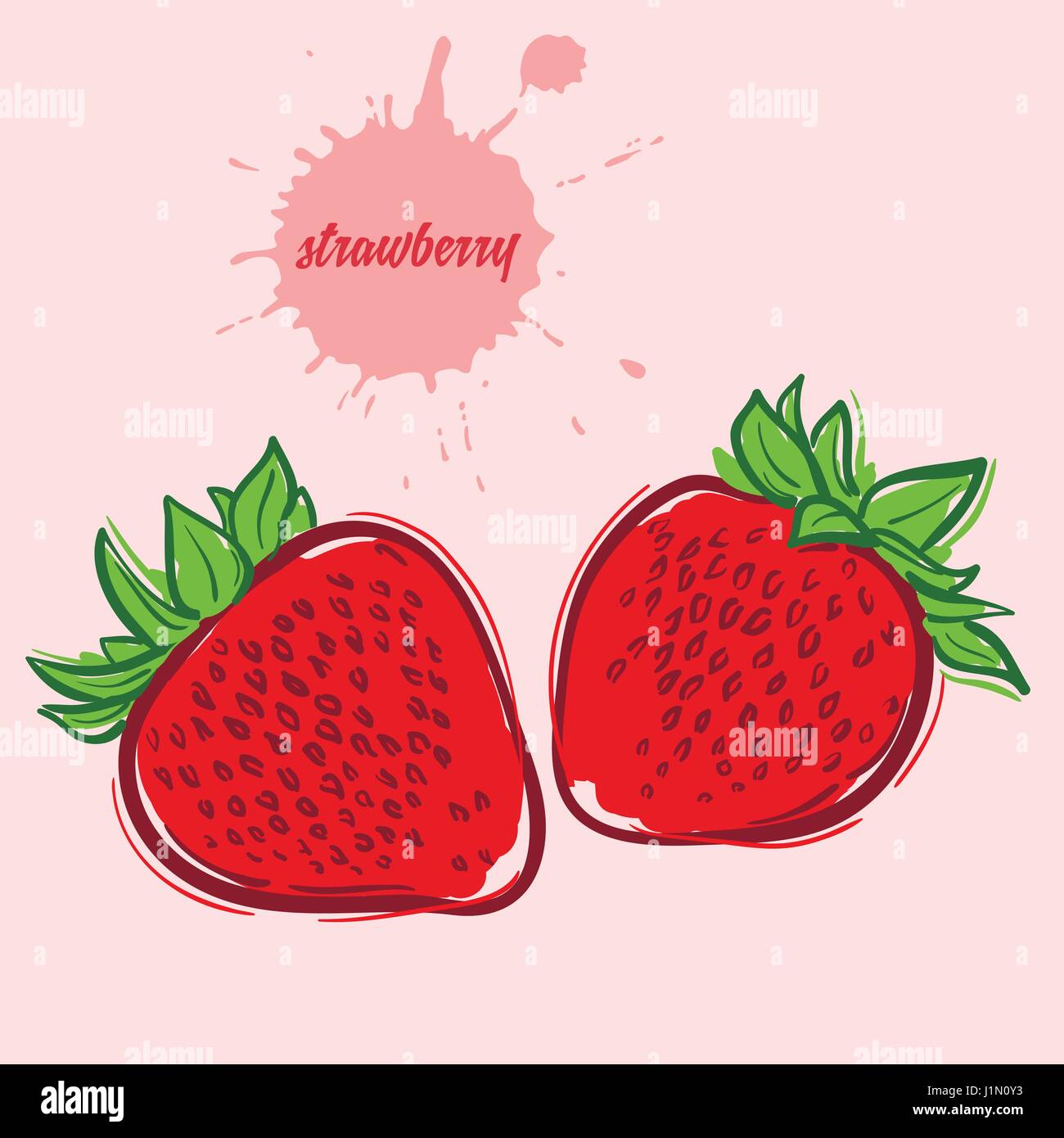Hand zu zeichnen, Erdbeere Stock-Vektorgrafik - Alamy