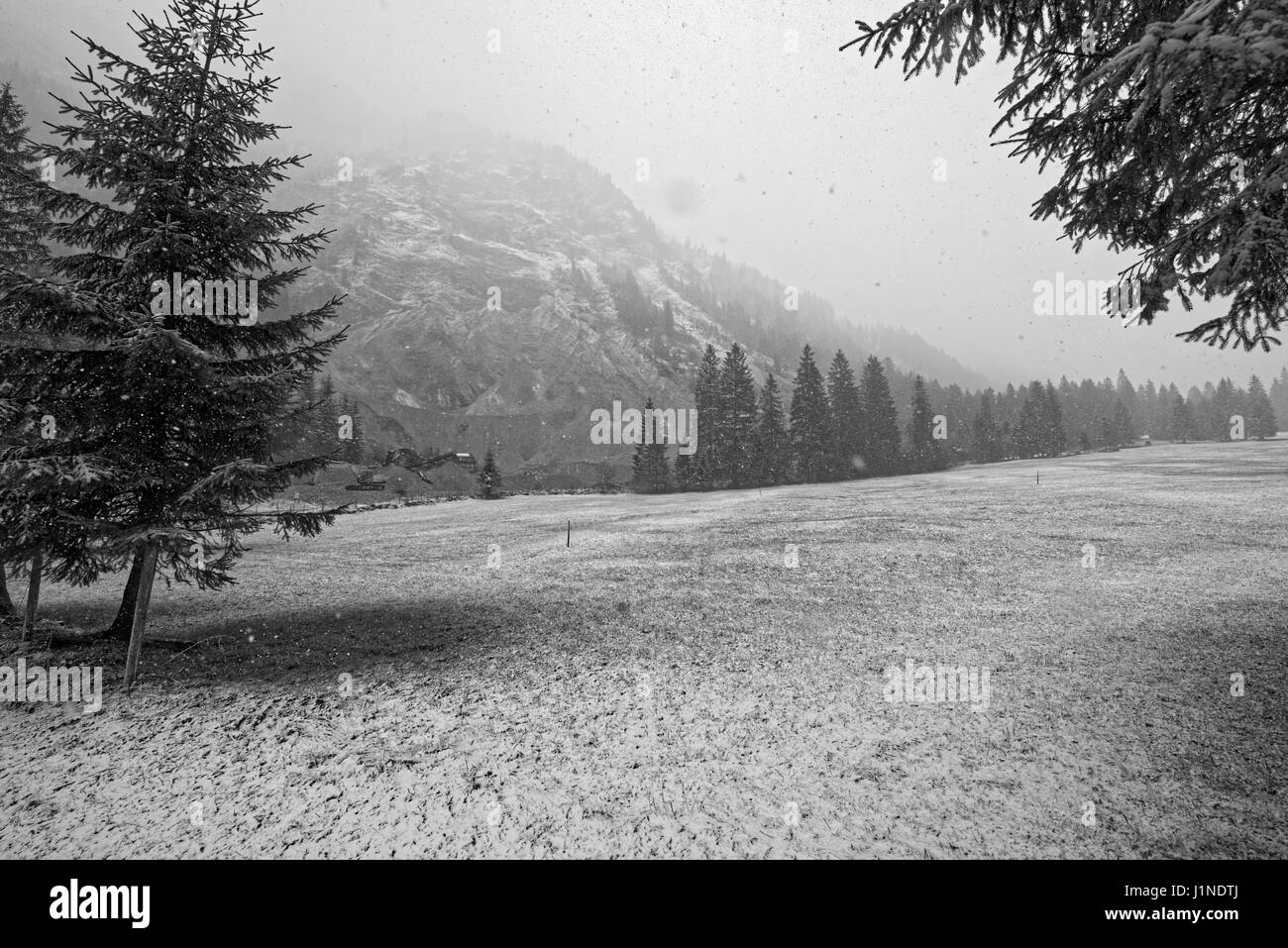Tanheimer Tal,Österreich.Naturschutzgebiet Vilsalpsee in Den Österreichischen Alpen.Bundesland Tirol, Bezirk Reutte Stockfoto