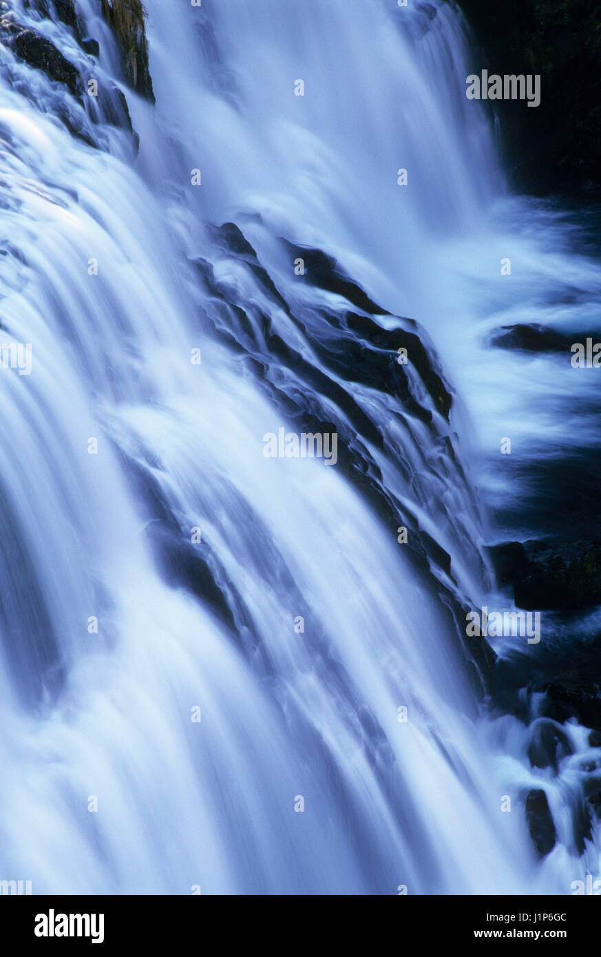 Nahen McCloud fällt, Shasta-Dreiheit National Forest, Kalifornien Stockfoto