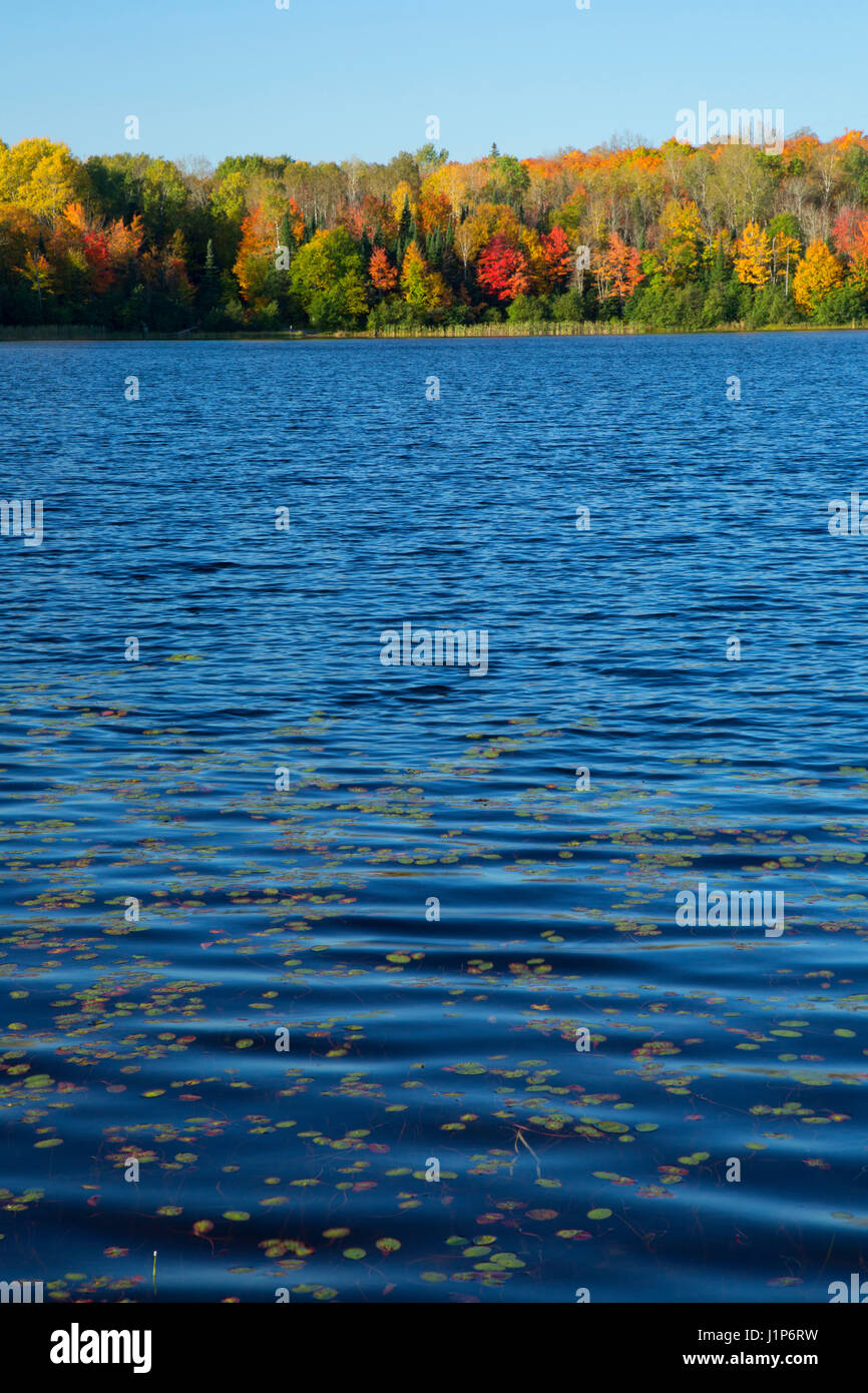 Mineral-See, Chequamegon-Nicolet National Forest, Wisconsin Stockfoto