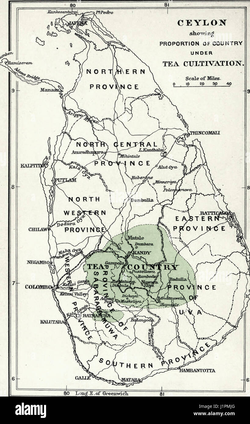 Karte von Ceylon zeigen Anteil des Landes unter Teeanbau, um 1900 Stockfoto