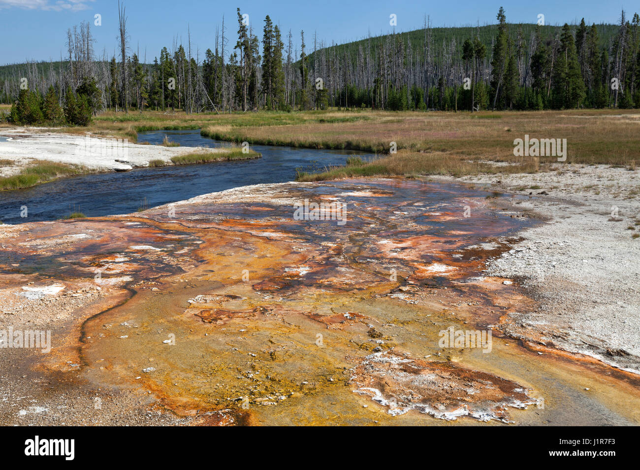 Mineralablagerungen auf Iron Spring Creek, schwarzen Sand Basin, Yellowstone-Nationalpark, Wyoming, USA Stockfoto