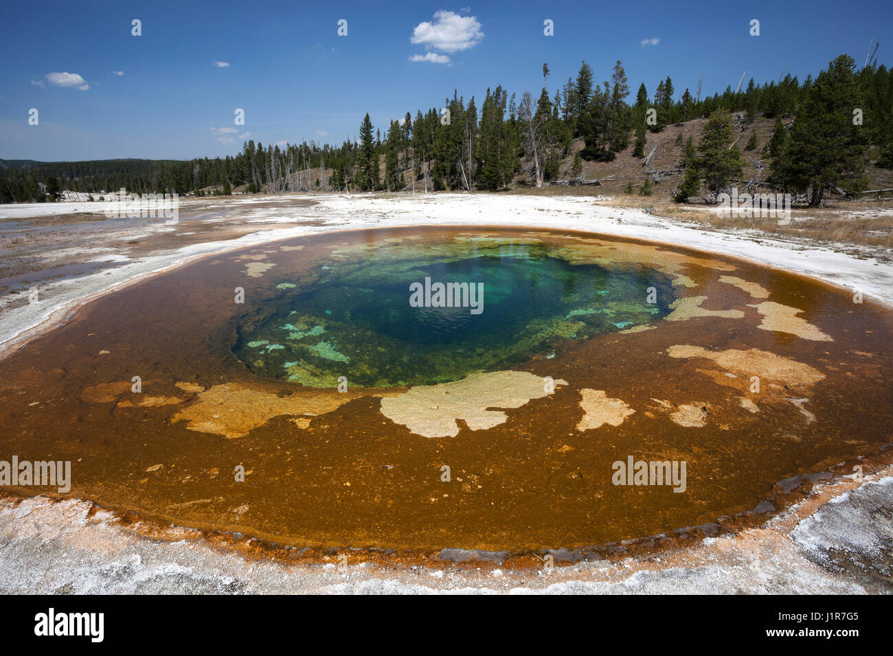 Schönheit Pool, Upper Geyser Basin, Yellowstone-Nationalpark, Wyoming, USA Stockfoto