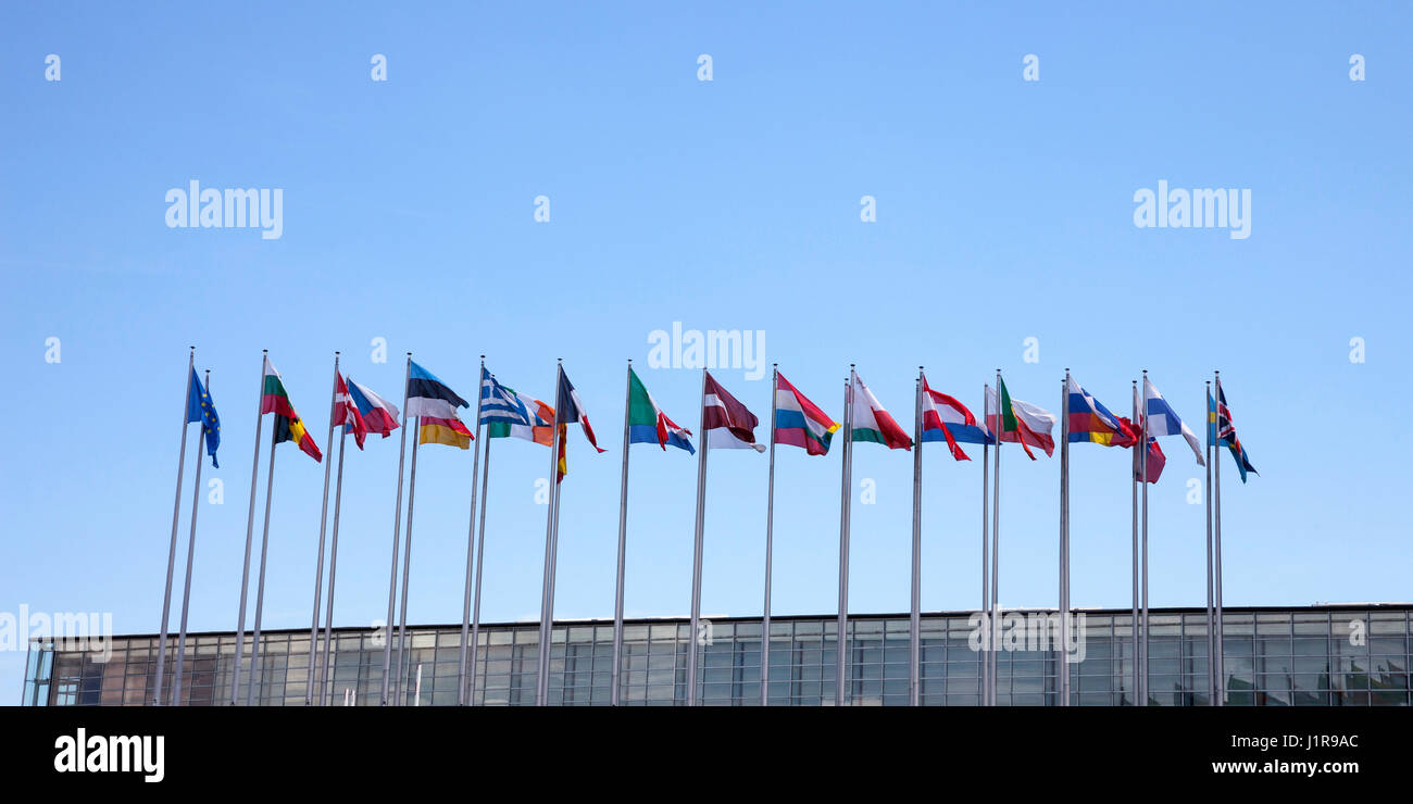 Internationale Fahnen, blauer Himmel, Parlament, Straßburg, Elsass, Frankreich Stockfoto