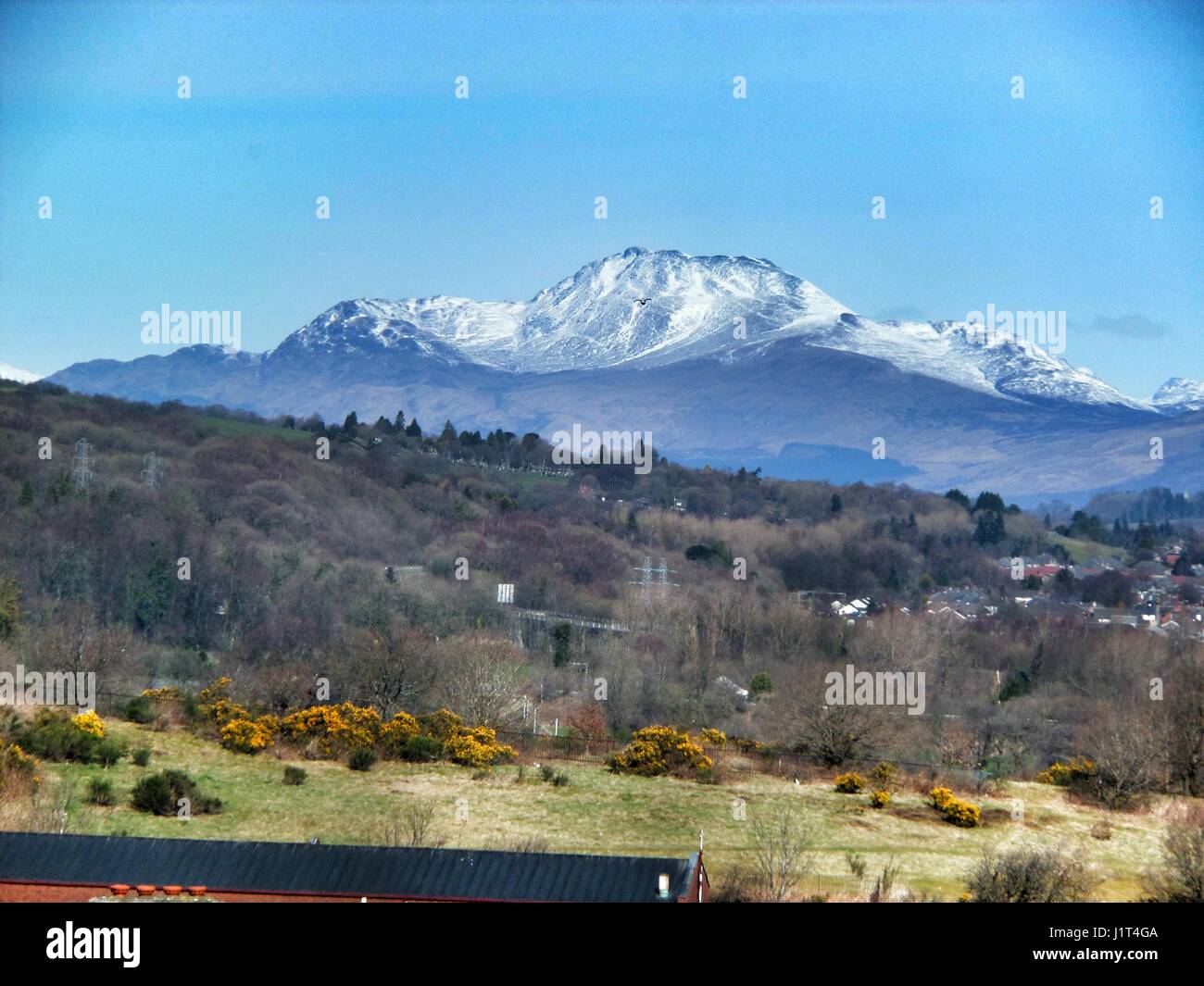 Ben lomond Stockfoto