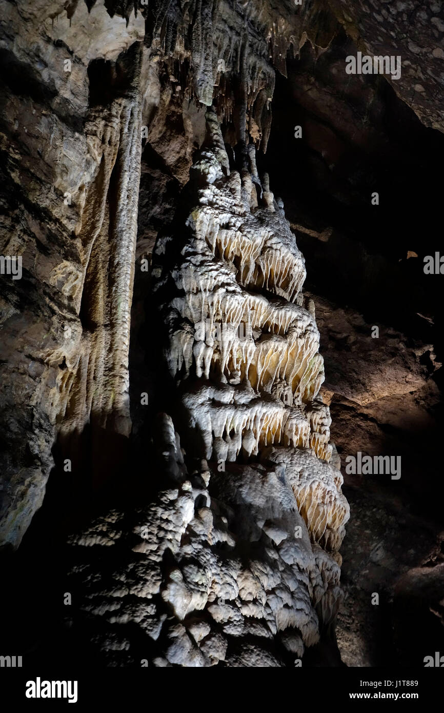 Riesige Stalagmiten mit Schmelzstein, Ablagerungen von Calcit in die Grotten von Han-Sur-Lesse / Grottes de Han, belgische Ardennen, Belgien Stockfoto