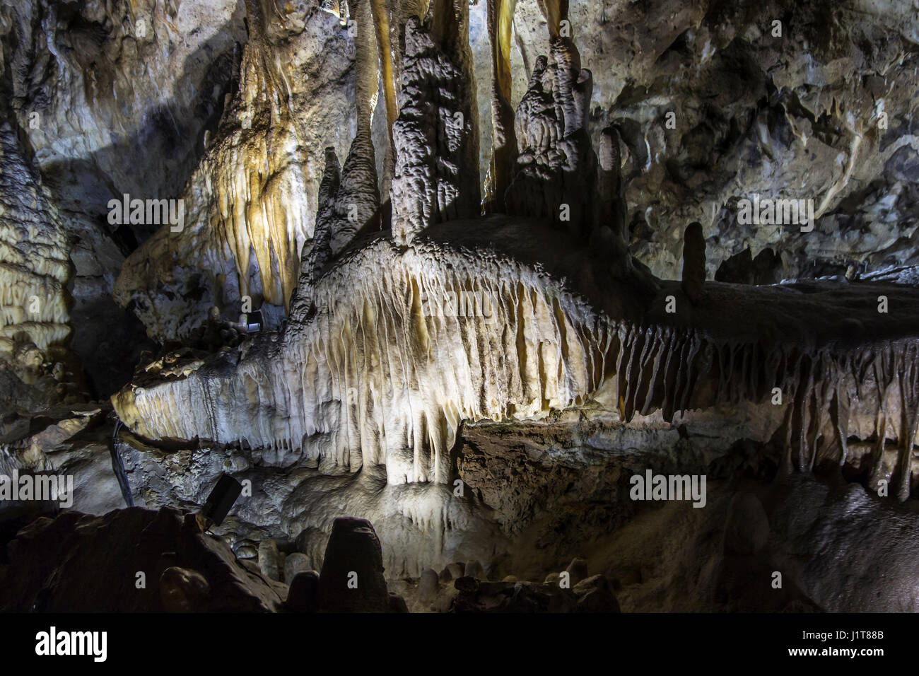 Schmelzstein / Höhle Vorhänge, blattförmigen Ablagerungen von Calcit abgehängte Decke in den Höhlen von Han-Sur-Lesse / Grottes de Han, Ardennen, Belgien Stockfoto