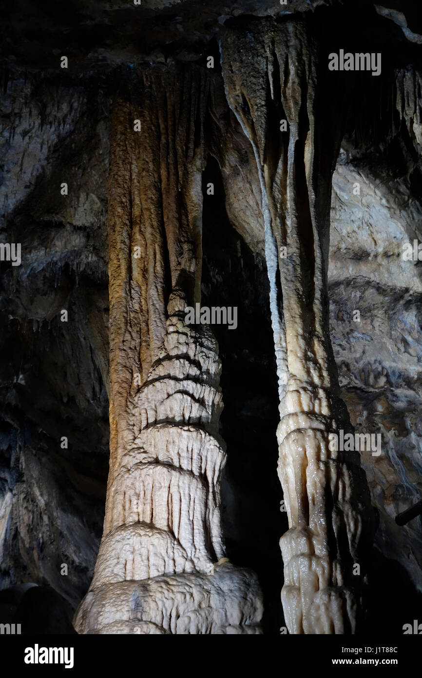 Zwei Spalten, Ablagerungen von Calcit in die Grotten von Han-Sur-Lesse / Grottes de Han, belgische Ardennen, Belgien Stockfoto