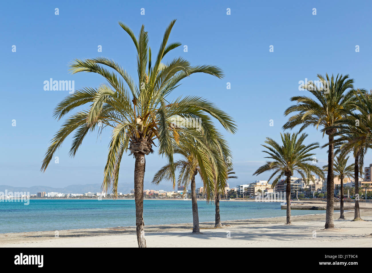 Playa de s arenal -Fotos und -Bildmaterial in hoher Auflösung – Alamy