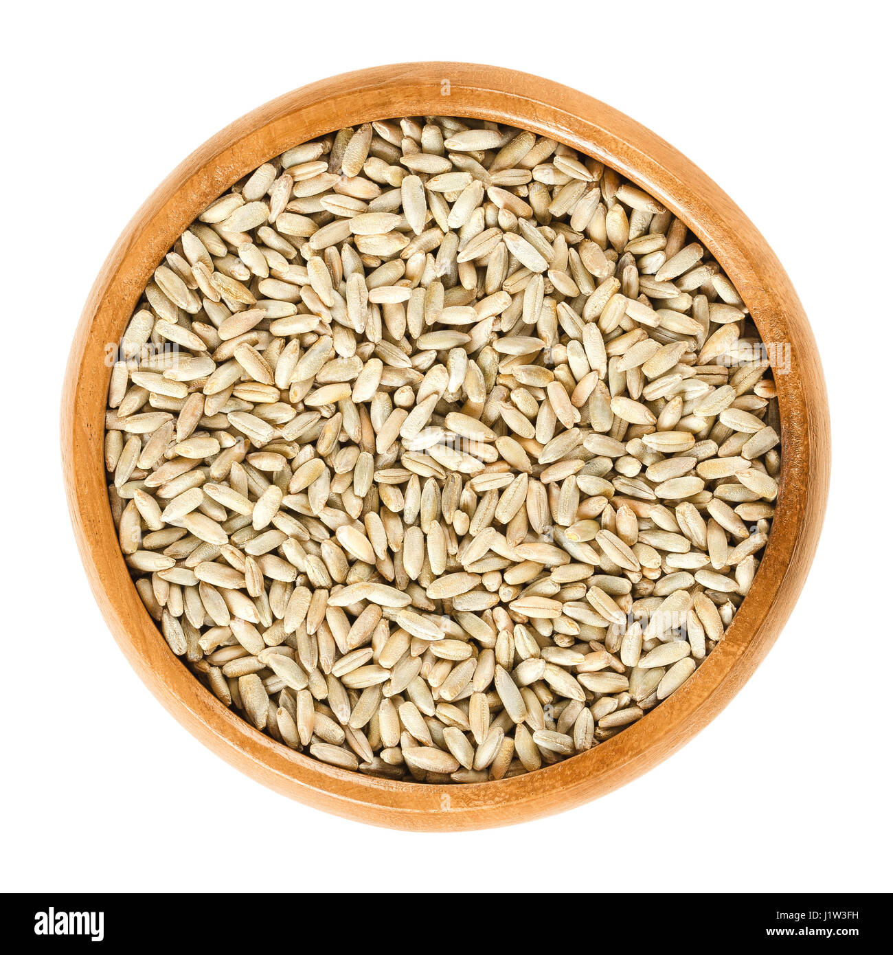 Roggen Getreide in Holzschale. Secale Cereale, Korn, Decken und Futter Ernte. Für Mehl, Brot, Bier, Whisky, Wodka und Tierfutter verwendet. Stockfoto