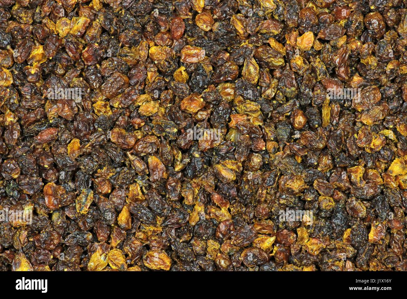 getrocknete Sanddorn-Beeren für Nutzung im Hintergrund Stockfoto